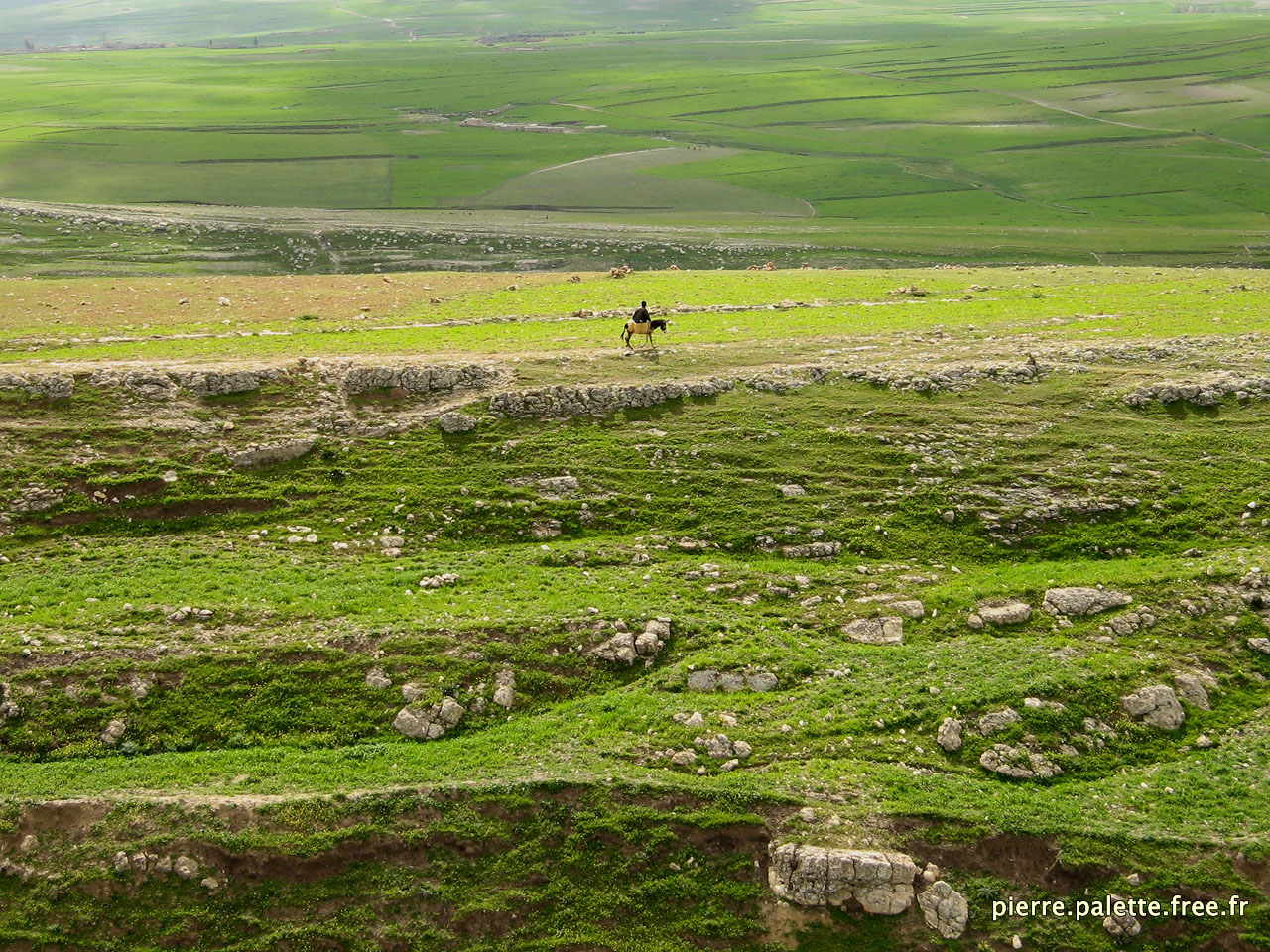 bMaroc 081_ copie